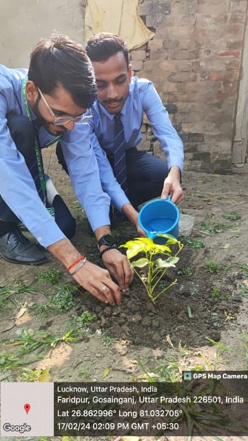 TREE PLANTATION